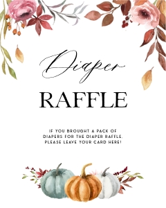 PM1 - Diaper Raffle design preview