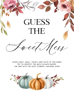 PM1 - Sweet Mess Guessing Game design preview