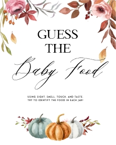 PM1 - Baby Food Guessing Game design preview