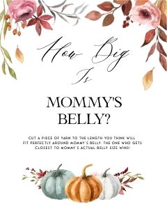PM1 - How Big Is Mommy's Belly design preview