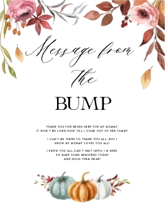 PM1 - Message From The Bump design preview