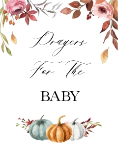 PM1 - Prayers For The Baby design preview