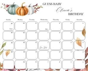 PM1 - Guess The Baby Birthday design preview