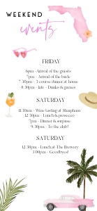 MB1 - Itinerary Mobile design preview