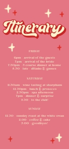 MZ1 - Itinerary Mobile design preview