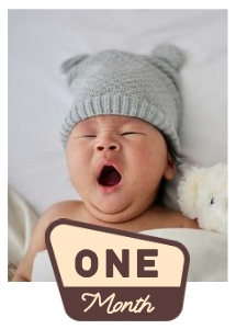 OHC - Photo Card - One Month: OHC - Full Bundle