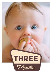 OHC - Photo Card - Three Months: OHC - Full Bundle