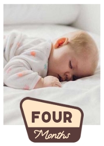 OHC - Photo Card - Four Months: OHC - Full Bundle