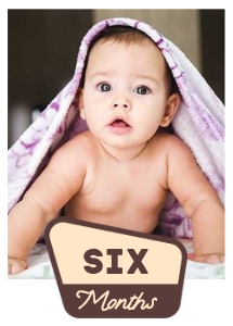 OHC - Photo Card - Six Months: OHC - Full Bundle