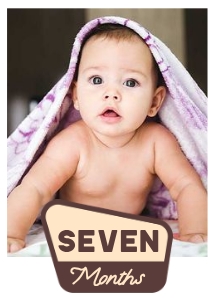OHC - Photo Card - Seven Months: OHC - Full Bundle