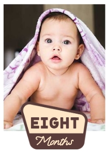 OHC - Photo Card - Eight Months: OHC - Full Bundle