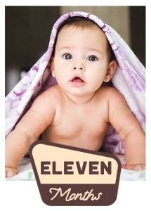 OHC - Photo Card - Eleven Months: OHC - Full Bundle