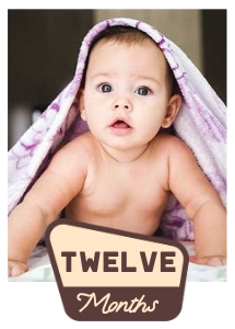 OHC - Photo Card - Twelve Months: OHC - Full Bundle