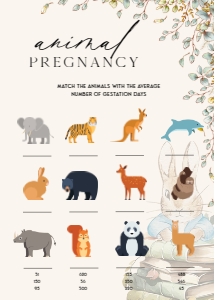 ANC - Animal Pregnancy - 5x7: ANC - 35 Floral Rabbit Games