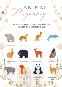 ANC - Animal Pregnancy - 5x7: ANC - Games Bundle