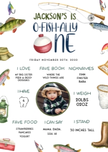 OFO - My First Year WP - A3 - 11.7x16.5: OFO - My First Year Stats WP