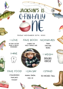 OFO - My First Year WP - A2 - 16.5x23.4: OFO - My First Year Stats WP