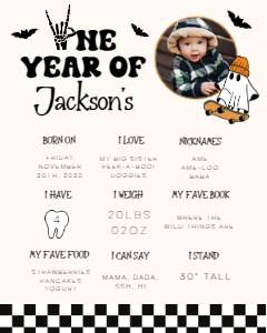 HW1 - My First Year Stats WP - 16x20: My First Year Stats v2