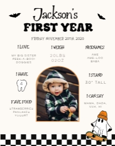 HW1 - My First Year Stats WP v2 - 11x14: Full Bundle