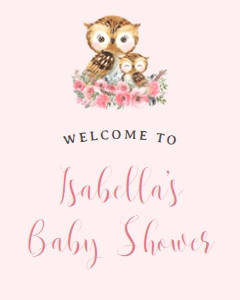 Owl Baby Shower Poster design preview