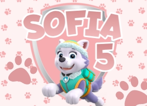 Girl Paw Patrol Cake Sheets design preview