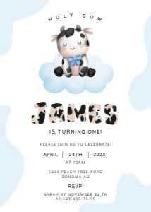 Birthday party invitation - BPI-02-col-63 design preview