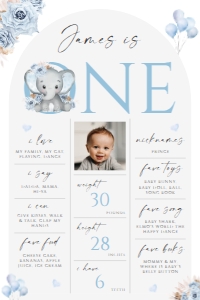 1st Year Milestone Poster MP-002-2 (24x36) Col-0086-b: 1st bday milestone poster - MP-002-2-col-0086-b