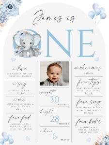 1st Year Milestone Poster MP-002-2 (18x24) Col-0086-b: 1st bday milestone poster - MP-002-2-col-0086-b