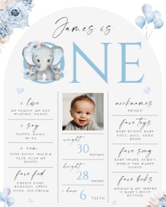 1st Year Milestone Poster MP-002-2 (16x20) Col-0086-b: 1st bday milestone poster - MP-002-2-col-0086-b