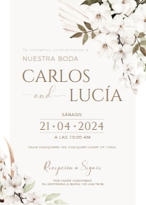 Spanish wedding invitation - SWI-05 Col-1005: Spanish wedding invitation - SWI-05-col-1005