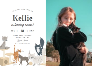 You've get to be kitten me invitation with photo design preview