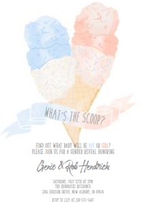 Ice Cream Gender Reveal Invitation - Printed: Ice Cream Gender Reveal Invitation