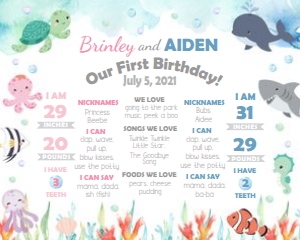 Twins Ocean Milestone Sign - 16x20 design preview