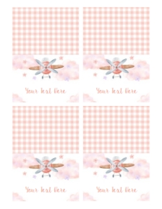 Airplane Girl Table Tent Food Labels design preview