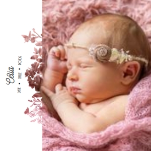 Naissance 32-5: Naissance 32-5