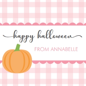 Gingham Ruffle Pink Pumpkin design preview