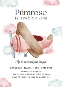 Pink Airplane Birthday Invitation: Pink Airplane Birthday Invitation
