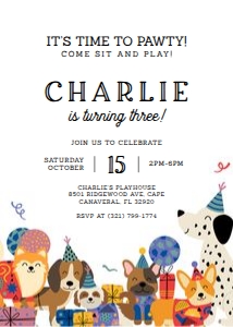 Let's Pawty Dog Birthday Invitation: Let's Pawty Dog Birthday Invitation