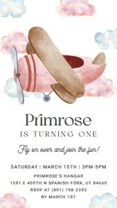 Pink Airplane Birthday Digital Invitation design preview