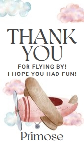 Pink Airplane Birthday Thank You Tags: Pink Airplane Birthday Invitation