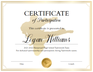 Karate Certificate Template design preview