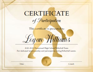 Boys Volleyball Certificate: Boys Volleyball Certificate