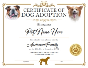 Dog Adoption Certificate Gold design preview