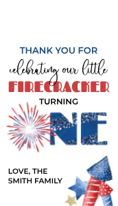 4th July Glitter WColor OBLONG TAG Firecracker One design preview