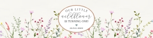 delicate wildflower - first birthday bundle design preview