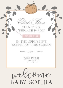 little pumpkin - milestone banner design preview