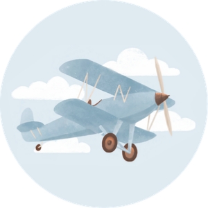 Cupcake Toppers (2x2) - Biplane - 9995: Birthday Bundle (Any Age) - Biplane - 9995