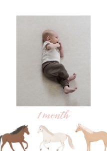 Photo Banner - Horses - 9948 design preview