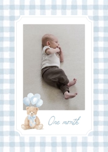 Photo Banner - Blue Gingham Teddy Bear - 9934 design preview