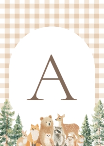Pennant Banner - Woodland Gingham - 1115: Baby Shower Bundle - Woodland Gingham - 1115